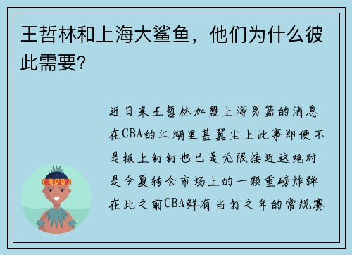 王哲林和上海大鲨鱼，他们为什么彼此需要？